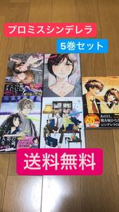 プロミスシンデレラ5巻セット