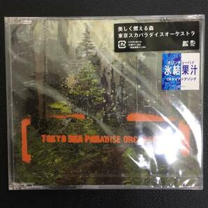 新品未開封CD☆お東京スカパラダイス 　美しく燃える森..（2002/02/14）/CTCR40115..