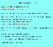 ※新S管理53648 H14 エルグランド NE51】★フロントバンパー スポイラー付き★ボディカラー:ホワイトパール（3P） カラーNo:QX1_画像10