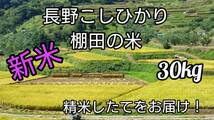 『新米』【精米】令和3年長野県産コシヒカリ30キロ（10キロ×3袋） 棚田米 精米したてをお届け!!_画像1