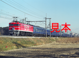 鉄道写真、645ネガデータ、142878300003、EF81-95＋北斗星、JR東北本線、蓮田～東大宮、2005.02.03、（4280×3134）