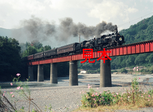 鉄道写真、645ネガデータ、106282130004、C11-312＋C56-44＋旧客、大井川鐵道、青部～崎平（大井川第二鉄橋）、1994.10.14、（4240×3105）