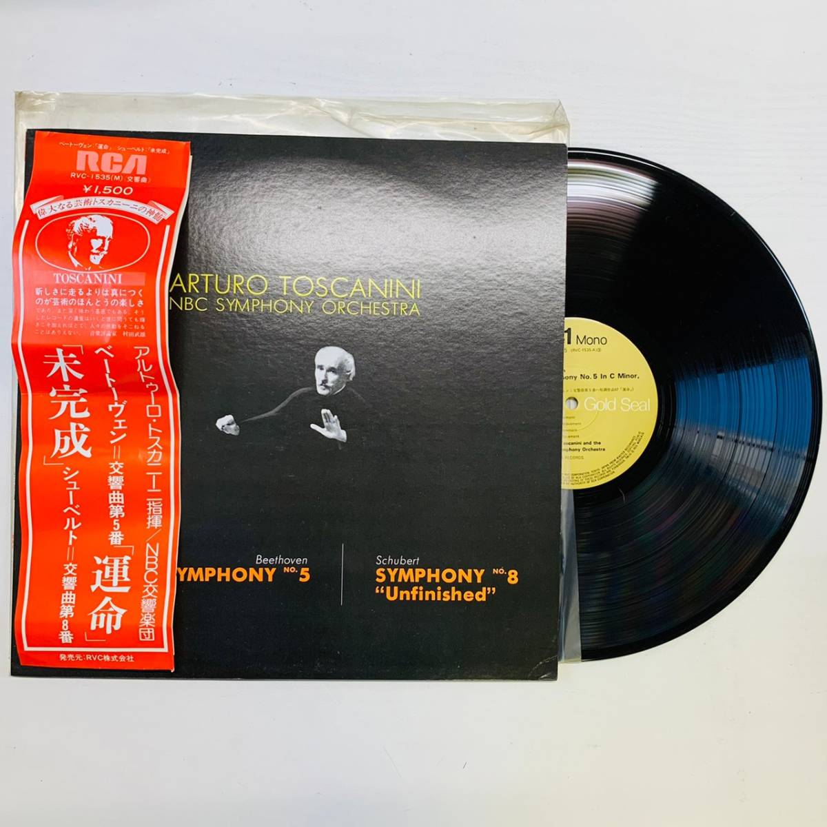 自主制作 非売品 飯守泰次郎&早稲田大学交響楽団 ベートーヴェン 第九