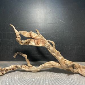 *sea tree* free shipping!.. disinfection ending driftwood ad driftwood / aquarium / aquarium / terrarium / interior /ADA/ coral / ornament /