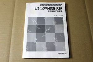 035/高い立場から高校数学を楽しむビジュアル線形代数（現代数学社）