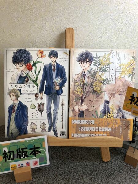 【中陸なか　BL 初版２冊セット】 「たゆたう種子」 「木々は春」【大人買い対象】