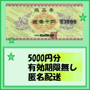 5000円分●日本BS株主優待券(ビックカメラ商品券)● 期限無し