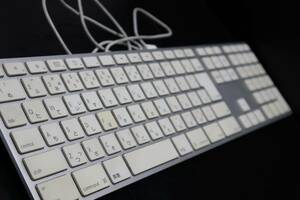 C1596 & Apple アップル A1243 Mac マック 純正 USBキーボード日本語版