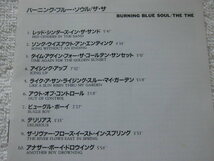 国内盤 / The The / Burning Blue Soul / Matt Johnson / ネオアコ ネオサイケ / 4AD COCY-75617 / 1993 (1981) / ニュー・ウェイヴ_画像2