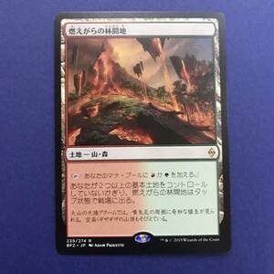 MTG/燃えがらの林間地/Cinder Glade/日本語/1枚