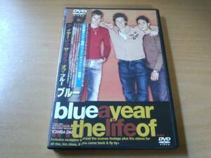 Blue DVD「ア・イヤー・イン・ザ・ライフ・オブ・ブルー」●