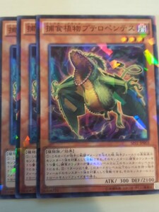 遊戯王 捕食植物プテロペンテス パラレル 三枚 数量7