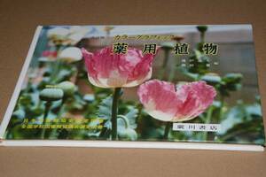 改訂版・カラーグラフィック薬用植物(滝戸道夫編)平5廣川書店