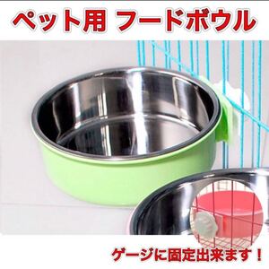 犬 猫 餌入れ 餌 フードボウル ペット グリーン 緑 小動物 ステンレス