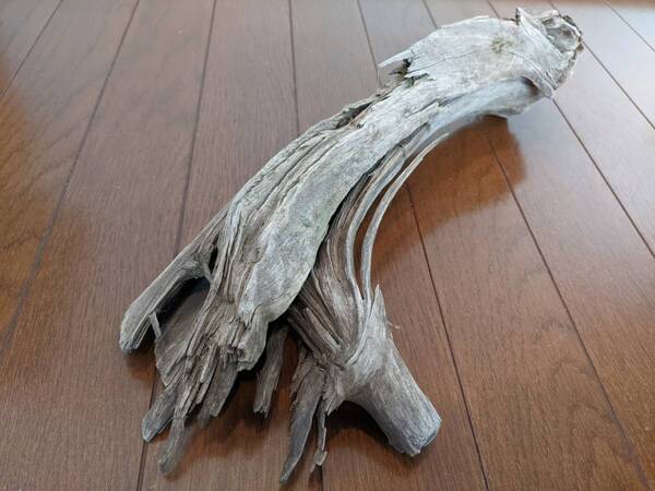 ☆天然流木 水槽 1点物 アクアリウム オブジェ アート 41×16.5×10cm 大和川 爬虫類 とかげ ヘビ インテリア めだか 隠れ家