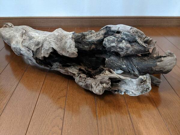 ☆天然流木 水槽 １点物 アクアリウム オブジェ アート 75×22×22cm 大和川河口 爬虫類 インテリア　大型　トカゲ　ヘビ　隠れ家