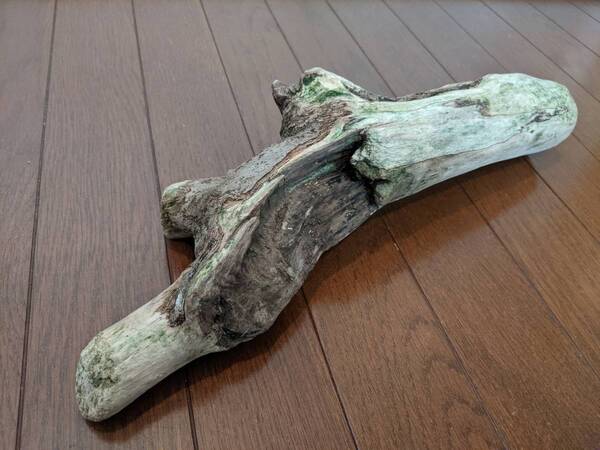 ☆天然流木 水槽 1点物 アクアリウム オブジェ アート 42×12×10cm 大和川 爬虫類 インテリア トカゲ へび めだか 隠れ家