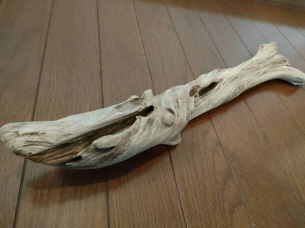 ☆天然流木 水槽 1点物 アクアリウム オブジェ アート 49×10.5×8cm 大和川 爬虫類 とかげ ヘビ インテリア めだか 魚 隠れ家