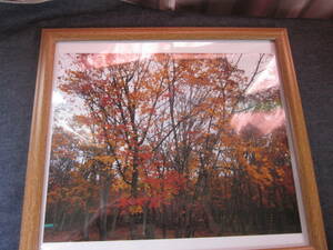  north country. . leaf 