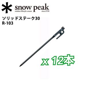 スノーピーク ペグ ソリッドステーク 30 R-103 snowpeak x12