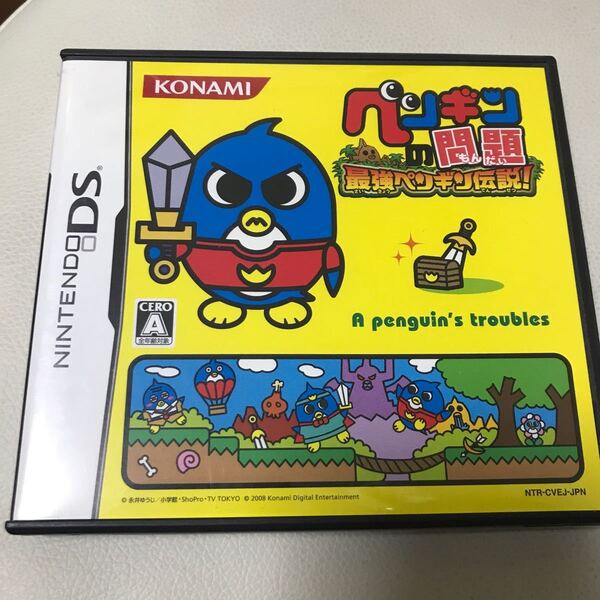 ニンテンドーDSソフト ペンギンの問題