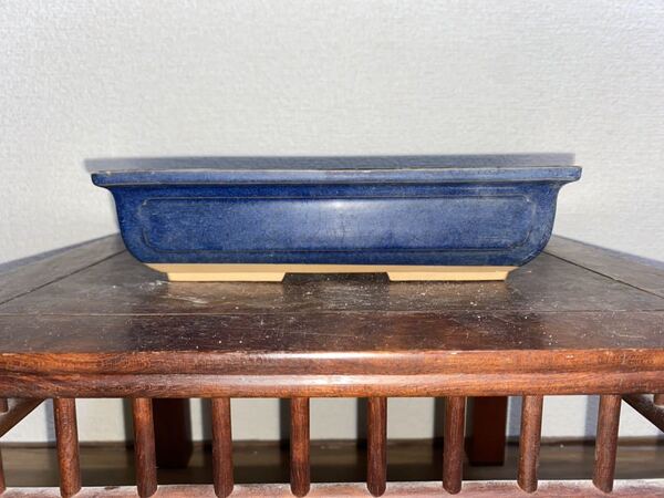 盆栽鉢 不二 長方 生子 青 瑠璃 釉 小品盆栽 ミニ盆栽 雑木 多肉植物 山野草 草花 花 園芸 ガーデニング 盆栽 鉢 植木鉢