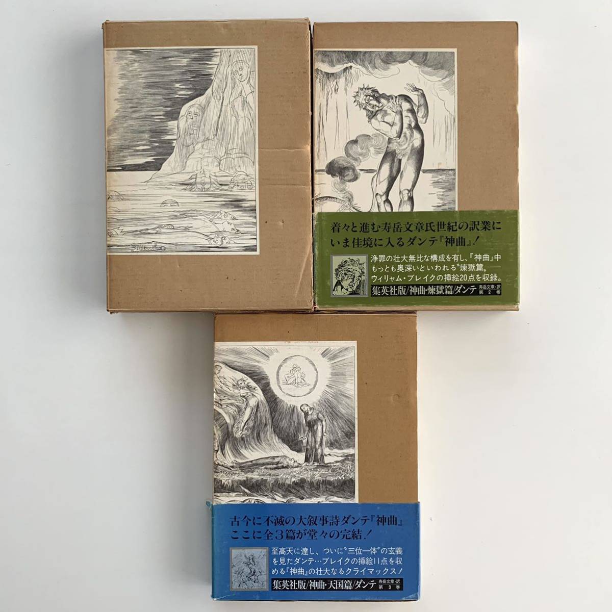 特上美品 ダリ ダンテ「神曲」煉獄篇32歌・Towards the Tree of Law