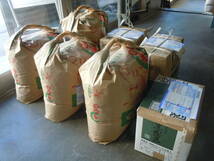 令和３年産新米 コシヒカリ玄米24kg (8kg×3袋) 分搗き精米対応 産直 条件付き送料無料_画像5
