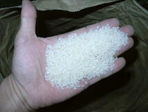 令和３年産新米 コシヒカリ玄米5kg 精米・分搗き精米対応 産直 条件付き送料無料_画像3