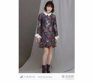 202 乃木坂46 生写真 公式グッズ 1枚　堀未央奈　ヒキ　2019 福袋 LuckyBag 限定品