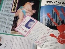 平成元年 大相撲 五月場所 パンフレット 東京 国技館 日本相撲協会 1989年_画像3