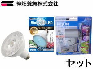 【送料無料】カミハタ RioCOB LED シャローブルー リオコブLED+スタンドセット　管理60
