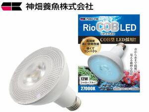 【週末限定特価】カミハタ RioCOB LED シャローブルー リオコブLED　管理60