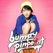 bump.y CD pinpoint 初回限定特典アナザージャケット 宮武祭 付_画像1