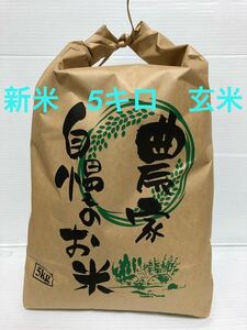 【値下げ】令和3年(2021年)収穫　コシヒカリ玄米5キロ　三重県産