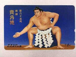 テレホンカード テレカ 50度数 横綱 貴乃花 どすこいわんぱく土俵 未使用 2