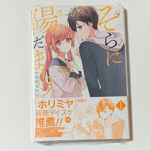 未開封 そらに陽だまり 1巻 かなめもにか Gファンタジー スクウェア・エニックス