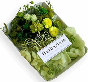 エバーガーデン 花材セット 手芸クラフト ハーバリウム花材 プリザーブドフラワー アロマワックスサシェ エバーガーデン
