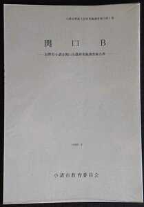 小諸市埋蔵文化財発掘調査報告書第1集「関口Ｂ　長野県小諸市関口Ｂ遺跡発掘調査報告書」小諸市教育委員会