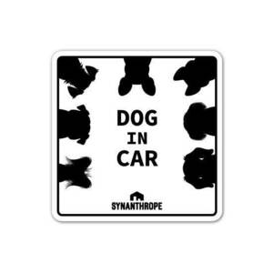 DOG IN CAR 【白】（角丸正方形・サイズ：縦110mm×横110mm）