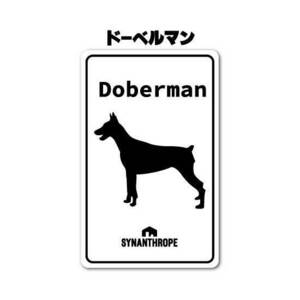 犬種ステッカー　ドーベルマン　【白】（角丸縦長方形・サイズ：縦147mm×横94mm）