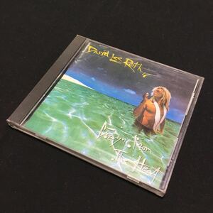 CD デヴィッド・リー・ロス /クレイジー・フロム・ザ・ヒート David Lee Roth crazy from the heat ディスク良好4988014363433 28XD-932