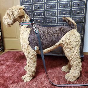 《送料無料》Piutre Italy エアデールテリア #ぬいぐるみ #犬 #ドッグ #Airedale Terrier