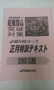 早稲田アカデミー＊中３＊正月特訓・超難関高突破／国語 正月特訓テキスト～基本 発展 入試実戦＊開成 早稲田 慶應 筑駒＊貴重