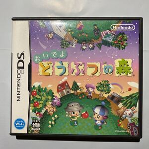 DS おいでよどうぶつの森 即決