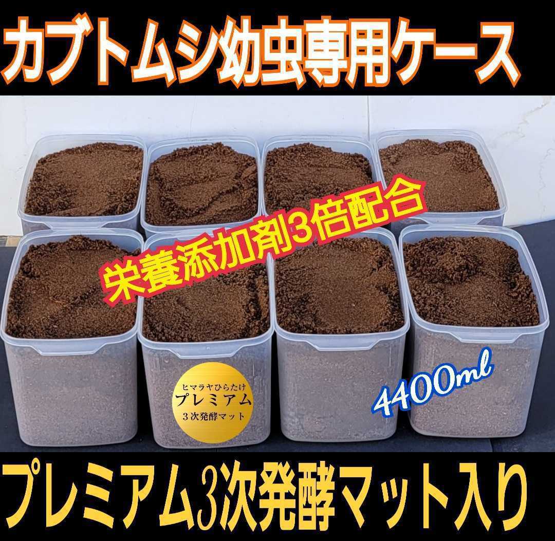 40L入り幼虫が巨大化 ヒマラヤひらたけプレミアム発酵マット 3次発酵