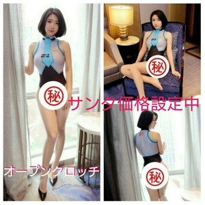 コスプレ セクシー アニメ風 ハイレグ レオタード レースクィーン オープンクロッチ仕様 1634 M 【トコちゃんサンタ価格】
