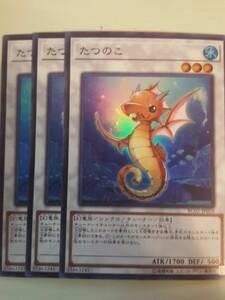 遊戯王 たつのこ スーパー 三枚