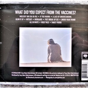 【 THE VACCINES / WHAT DID YOU EXPECT FROM THE VACCINES? 】CDは４枚まで送料１９８円の画像2