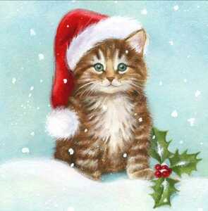 ダイヤモンドアート　猫　クリスマス　サンタクロースの帽子　ミニ　キット ダイヤモンドペインティング モザイクアート ビーズ刺繍 初心者